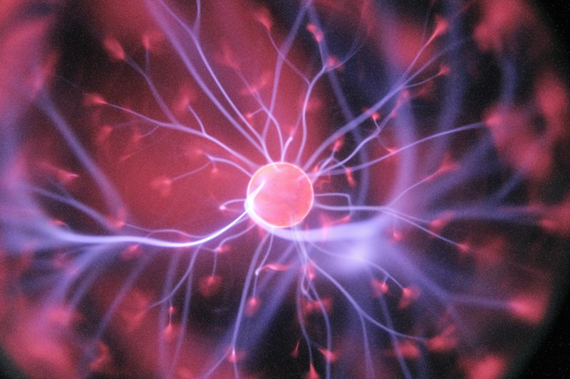 Synapse Bio-Signals BCI